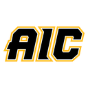 American International